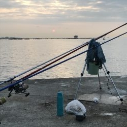 でかいエサ取り