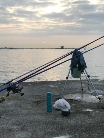 でかいエサ取り