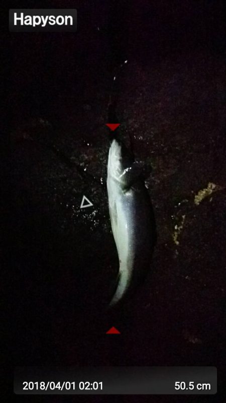 ブルームーン釣行