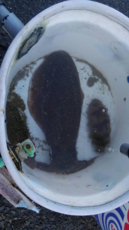 雨が降る前に行って来ました。