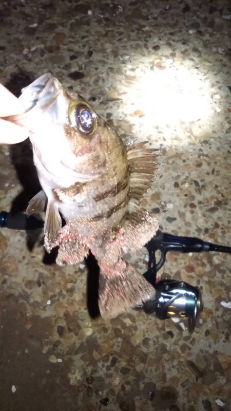 苦手意識克服戦!!