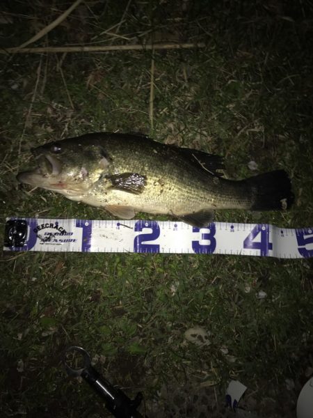 まだまだ絶好調