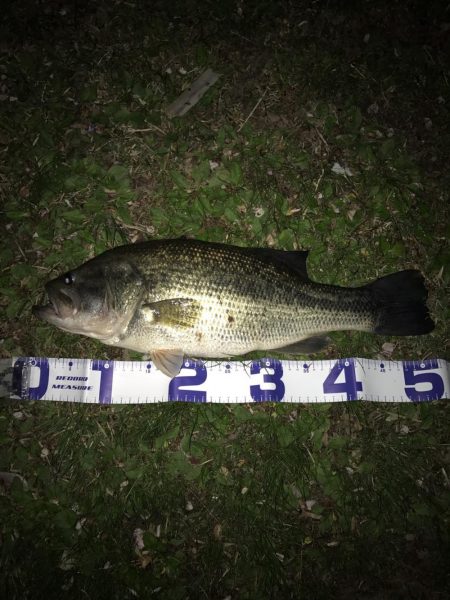 できすぎた展開