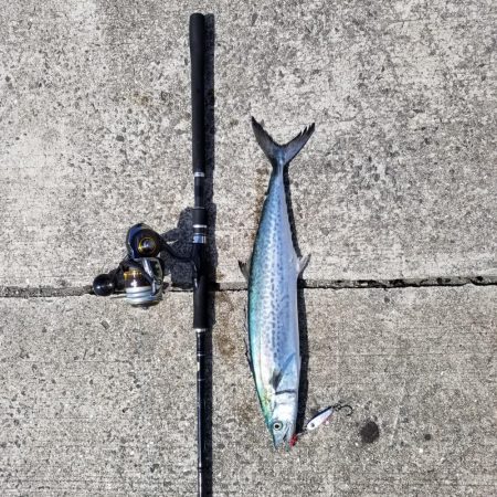 ようやく釣れた