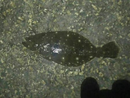 13日の金曜日　第2ラウンド