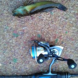 臨時収入Getで明石出撃!!