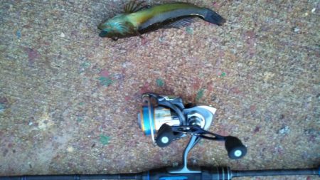 臨時収入Getで明石出撃!!