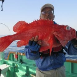 土佐安芸のハマちゃん　