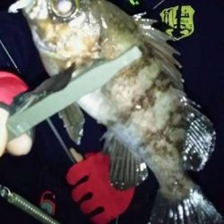 思ってたよりは釣れなかったけど・・・