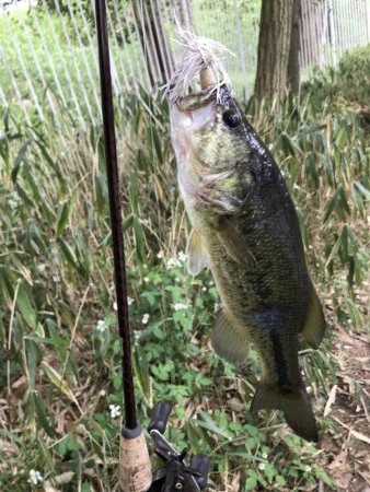 サイトフィッシング