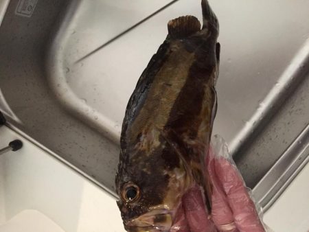 爆風ライトゲーム