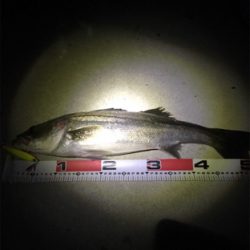 ナイスファイト！