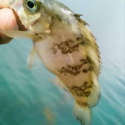 ひさびさの癒し～