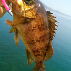 天気は･・･・！