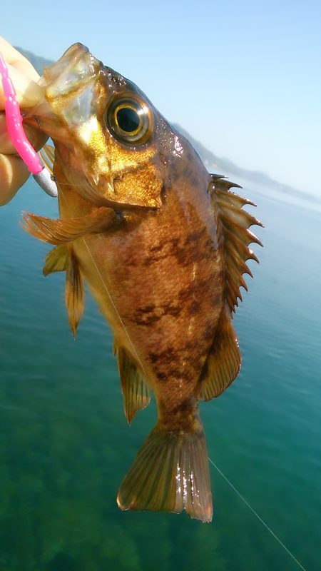 天気は･・･・！