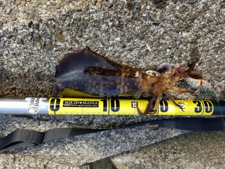 エイプリルフール（笑）