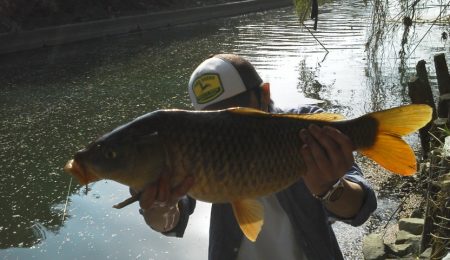 カープフィッシィング