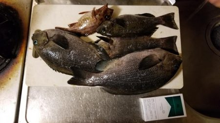 今年に入って！