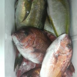 ハプニングが・・・