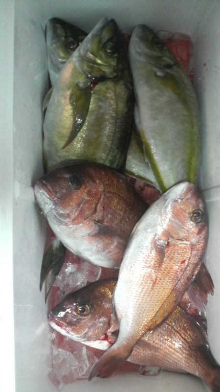 ハプニングが・・・