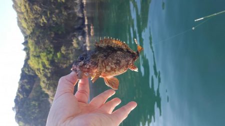 今年初出船釣行