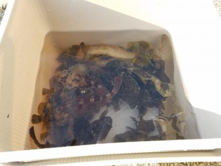 久しぶりに大量♪