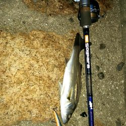 バチ、抜けてます。