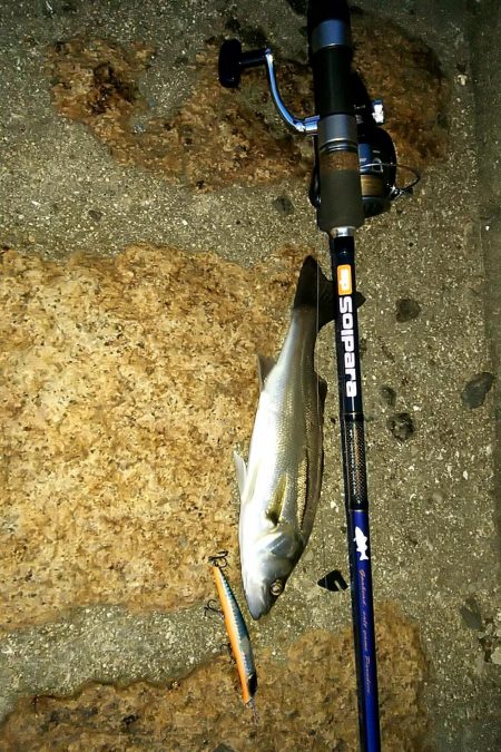 バチ、抜けてます。