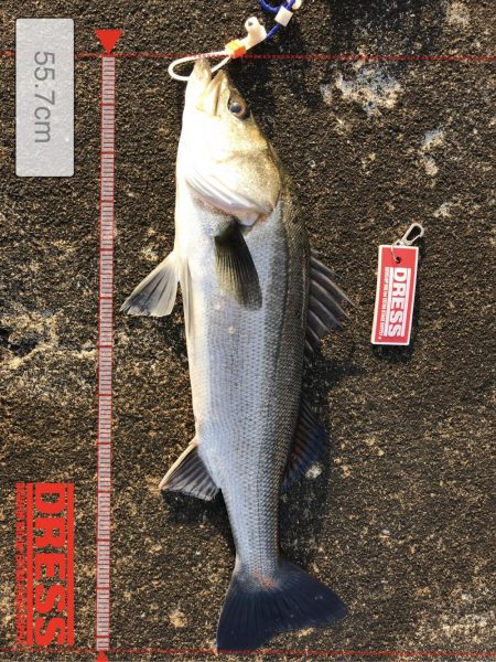 西野渡船朝1番船で武庫川一文字へ