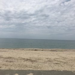 シロギス良好！