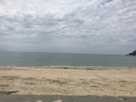 シロギス良好！