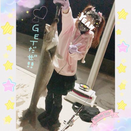 シーバス✧ ランカーサイズ手前 !!!