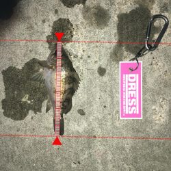 懲りずにメバリング