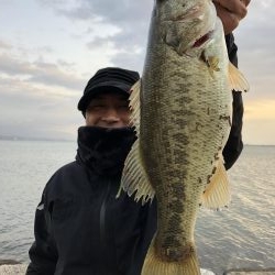 2週連続ゲット‼️