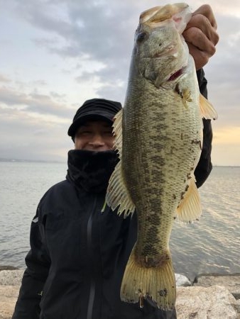 2週連続ゲット‼️