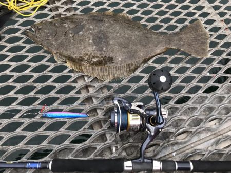 初メタルジグヒット