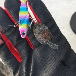 まさかのお客様