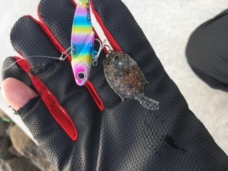 まさかのお客様