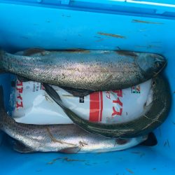 初トラウトフィッシング