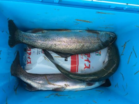 初トラウトフィッシング