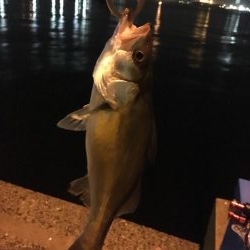 24日午前０時1回目 20時から2回目