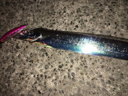 次は君がシーバスを釣って周りを驚かせている…