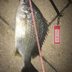 バチパターンで