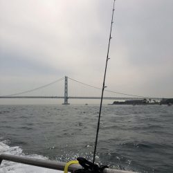 虎之介さんでタイラバ