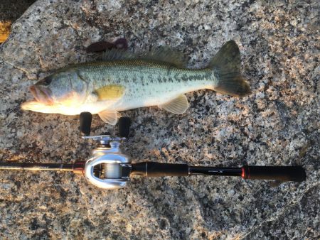 ひと、人、ヒト