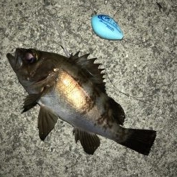 深夜メバリング