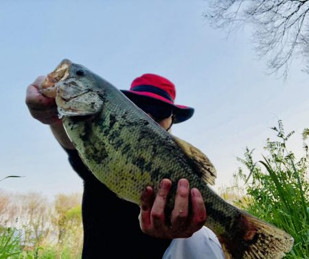 春が来たのでそろそろと思い‥