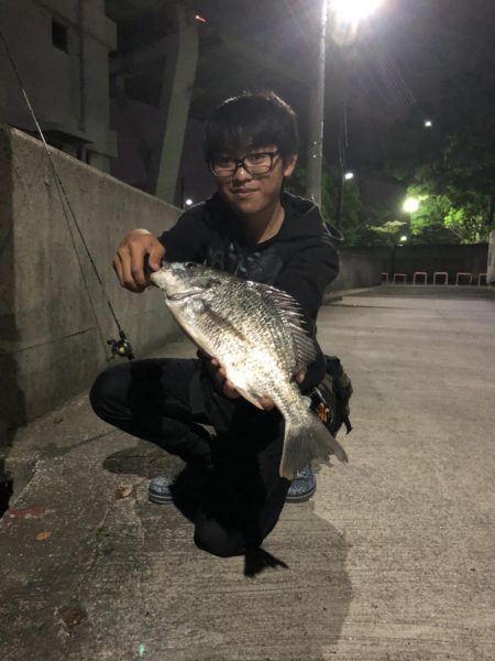 初投稿·天保山でのボトム攻め