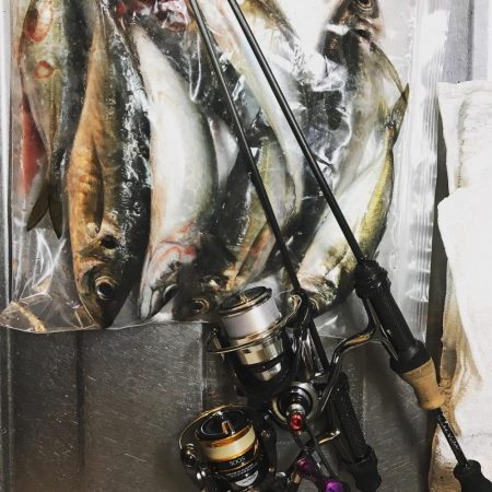 アジング釣行記