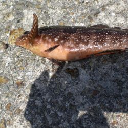 昨日に引き続き